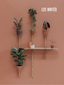 Ensemble élégant de porte-plantes muraux en bois de chêne