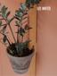 Présentoir mural en chêne pour pots de plantes