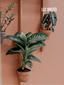 Bois de chêne sculpté pour supports muraux de plantes