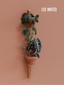 Solutions naturelles pour fixation de pots muraux