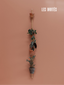 Décoration intérieure avec supports en chêne pour plantes