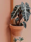 support étagère plantes mur bois pots