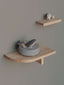 Firmin Shelves (Set of 2)