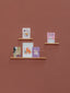 Super-mounted Shelving Set - Small &amp; Medium models