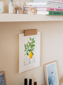 Porte-affiches Raisin