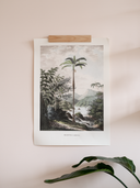 Imparfaits - Raisin 28 cm (A2)