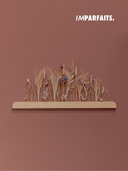 Imparfaits - Pic impérial