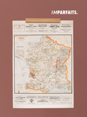 Imparfaits - Raisin 40 cm (A1)