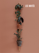 Supports muraux design pour plantes décoratives