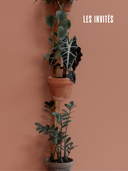 Supports artisanaux pour plantes murales