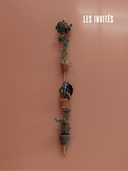 Solutions murales élégantes pour pots de plantes
