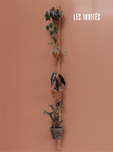 Supports de plantes suspendues en bois massif
