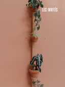 Supports de plantes muraux en bois naturel
