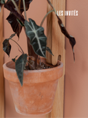 Supports muraux naturels pour plantes, design minimaliste