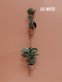 Porte-plantes muraux en chêne, style épuré