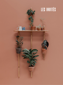 Accessoires boisés élégants pour déco végétale