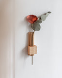 soliflore fleurs sechees gllu normand