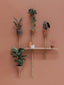 support étagère plantes mur bois pots