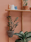 support étagère plantes mur bois pots