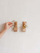 soliflore fleurs sechees gllu normand